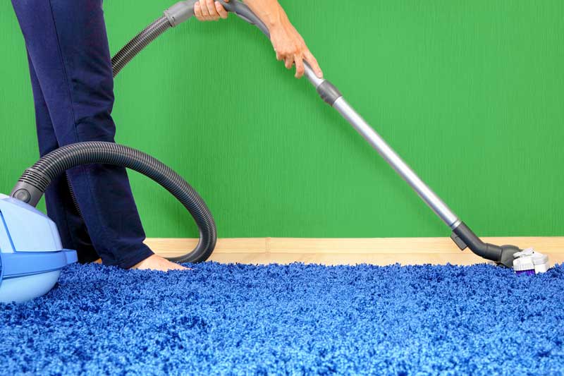 Benefits Of Hiring A Professional Carpet Cleaner Golden Raintree Gardens