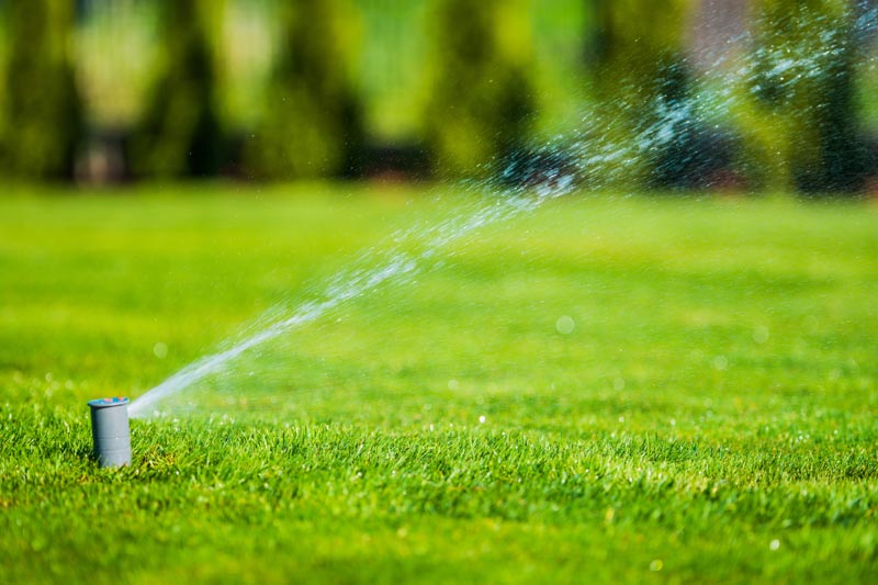 Lawn And Garden Maintenance Golden Raintree Gardens